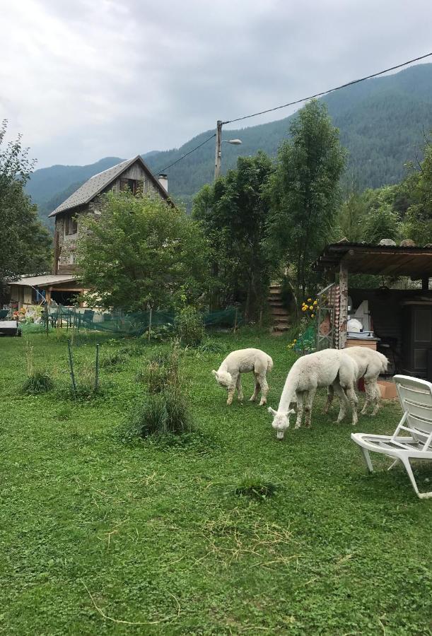 La Cerisole Apartamento Saint-Étienne-de-Tinée Exterior foto